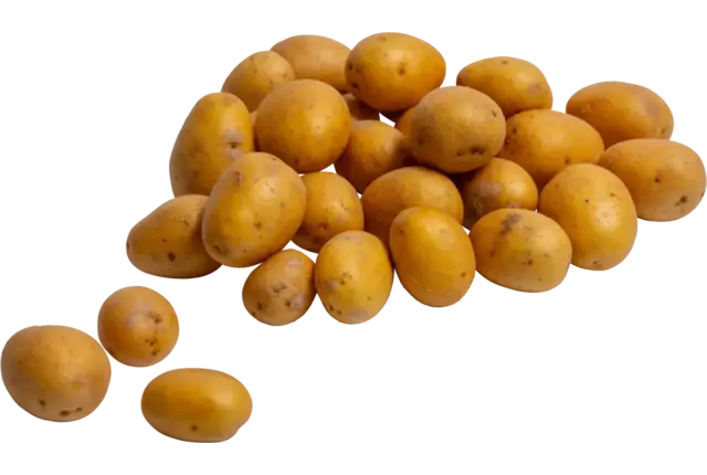 Kriel aardappelen gewassen